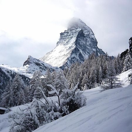 Haus Leopold Apartamento Zermatt Exterior foto